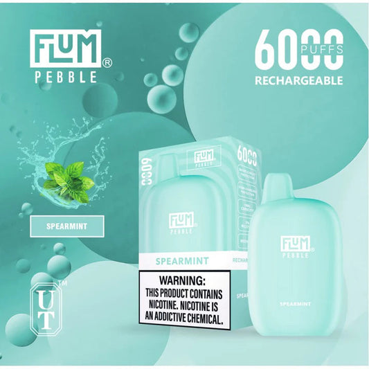 Flum pebble-spearmint 6000 - vaporini