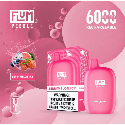 Flum pebble-berry melon 6000 - vaporini