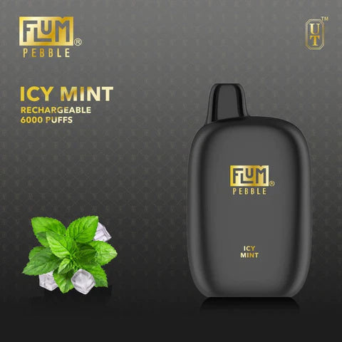 Flum pebble-icy mint 6000 - vaporini