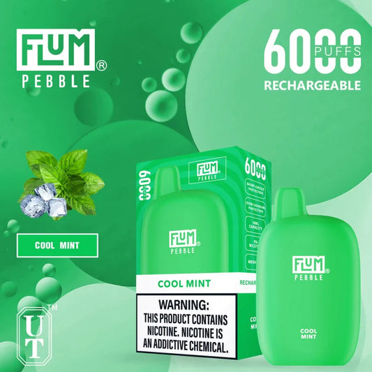 Flum pebble-cool mint 6000 - vaporini